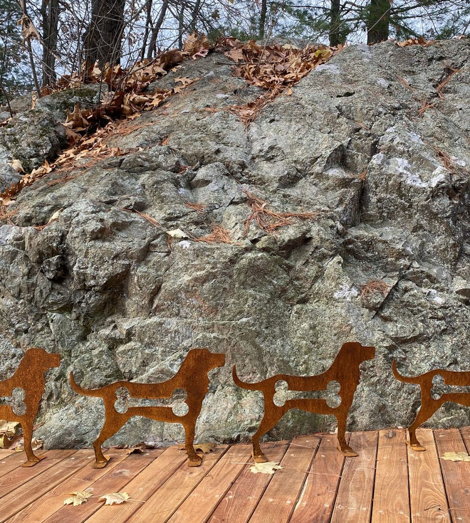 steel puppies
